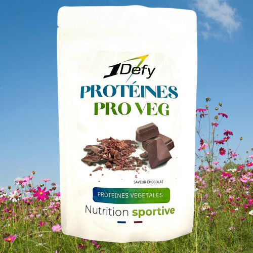 PROTEINE-VEGETALE chocolat