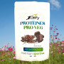 PROTEINE-VEGETALE chocolat