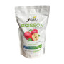 1defy-Boisson isotonique (pendant effort) - POMME 